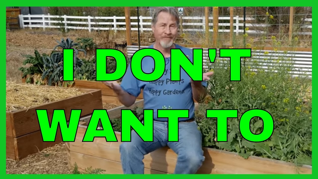 Garden Crop Rotation (Why I Don't Do It)