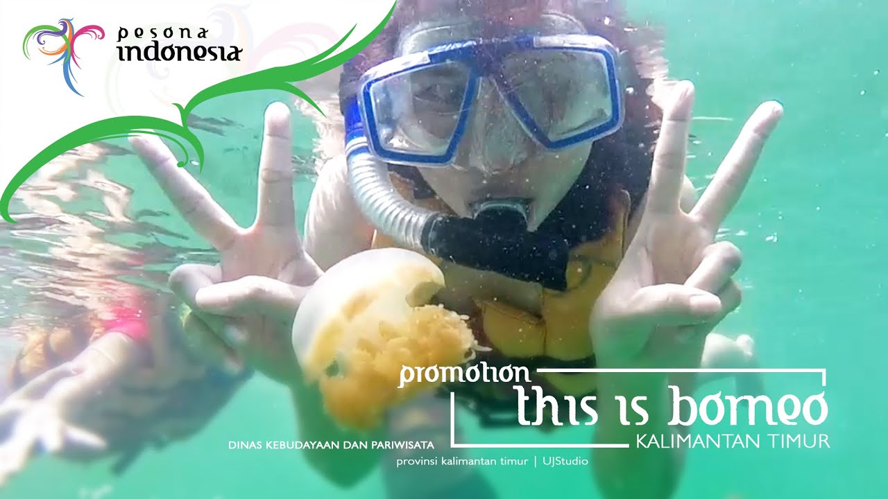 Official Video - This Is East Kalimantan Tourism 2016 HD 720p