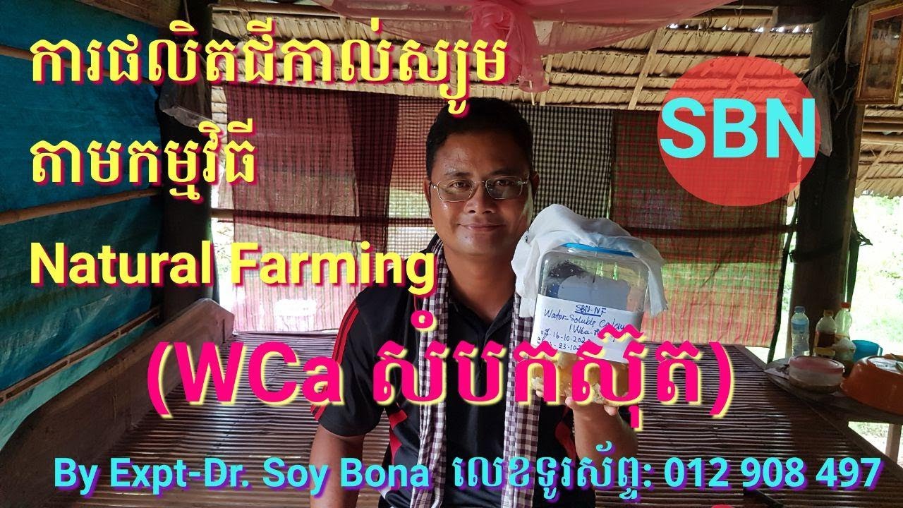 ការផលិតជីកាល់ស្យូមតាមកម្មវិធីNatural Farming (WCa សំបកស៊ុត) |Soy Bona|