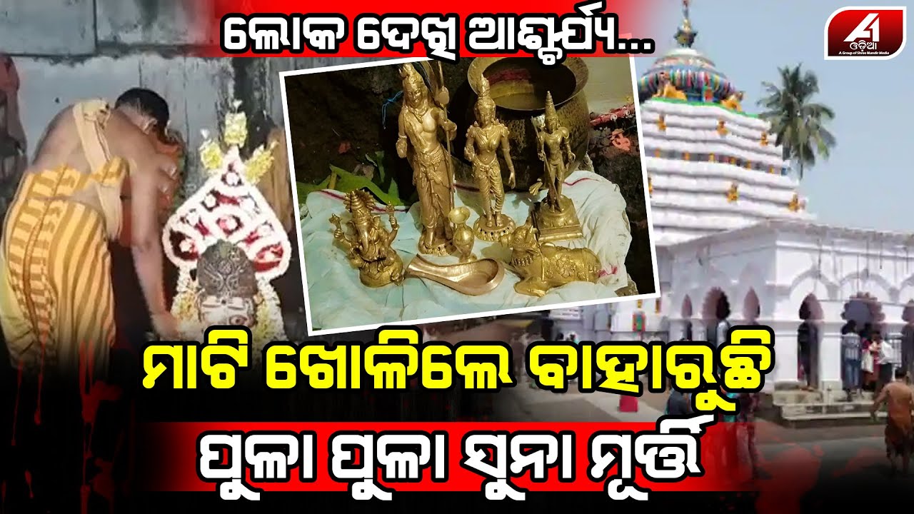ଆରଡ଼ି ସେବାୟତଙ୍କ ଘର ମାଟିତଳୁ ବାହାରୁଚି ପୁଳାପୁଳା ସୁନାର ମୂର୍ତ୍ତି | Bhadrak news | @A1ODIA
