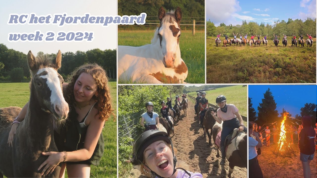 Rc het Fjordenpaard week 2 2024