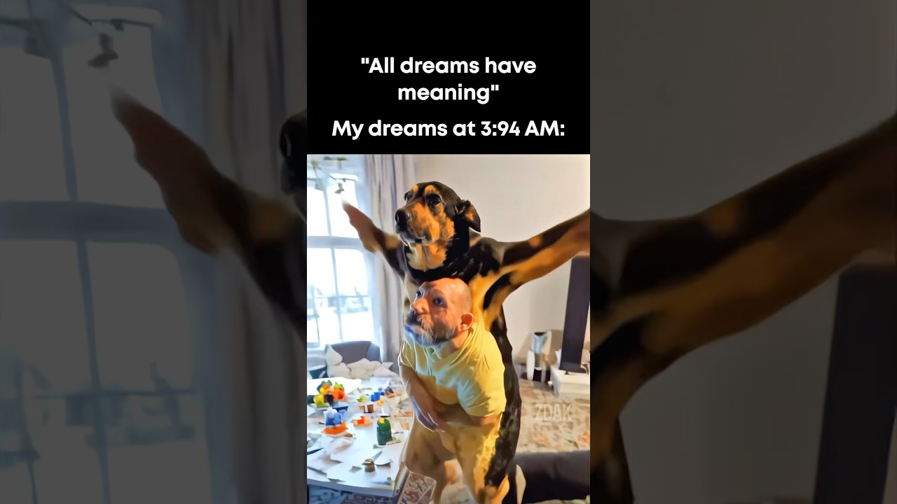 &ldquo;All dreams have meaning&rdquo; 💀