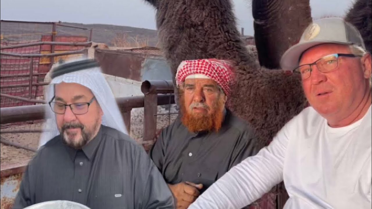 قصة إهداء الجمل من سنابات محمد دونالد فلود #اكسبلور #سناب #سنابات_مشاهير