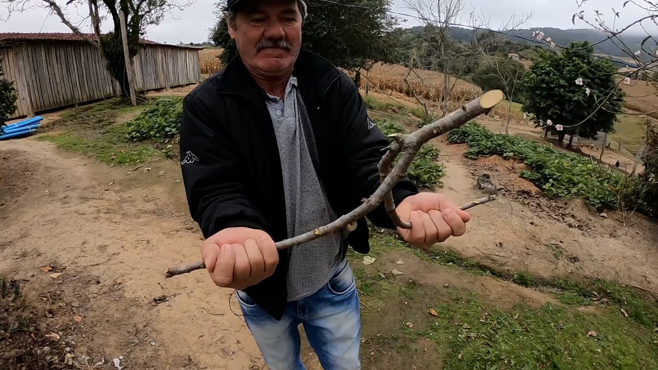 Agricultor encontra &aacute;gua usando forquilha de p&ecirc;ssego, alian&ccedil;a e at&eacute; rel&oacute;gio!