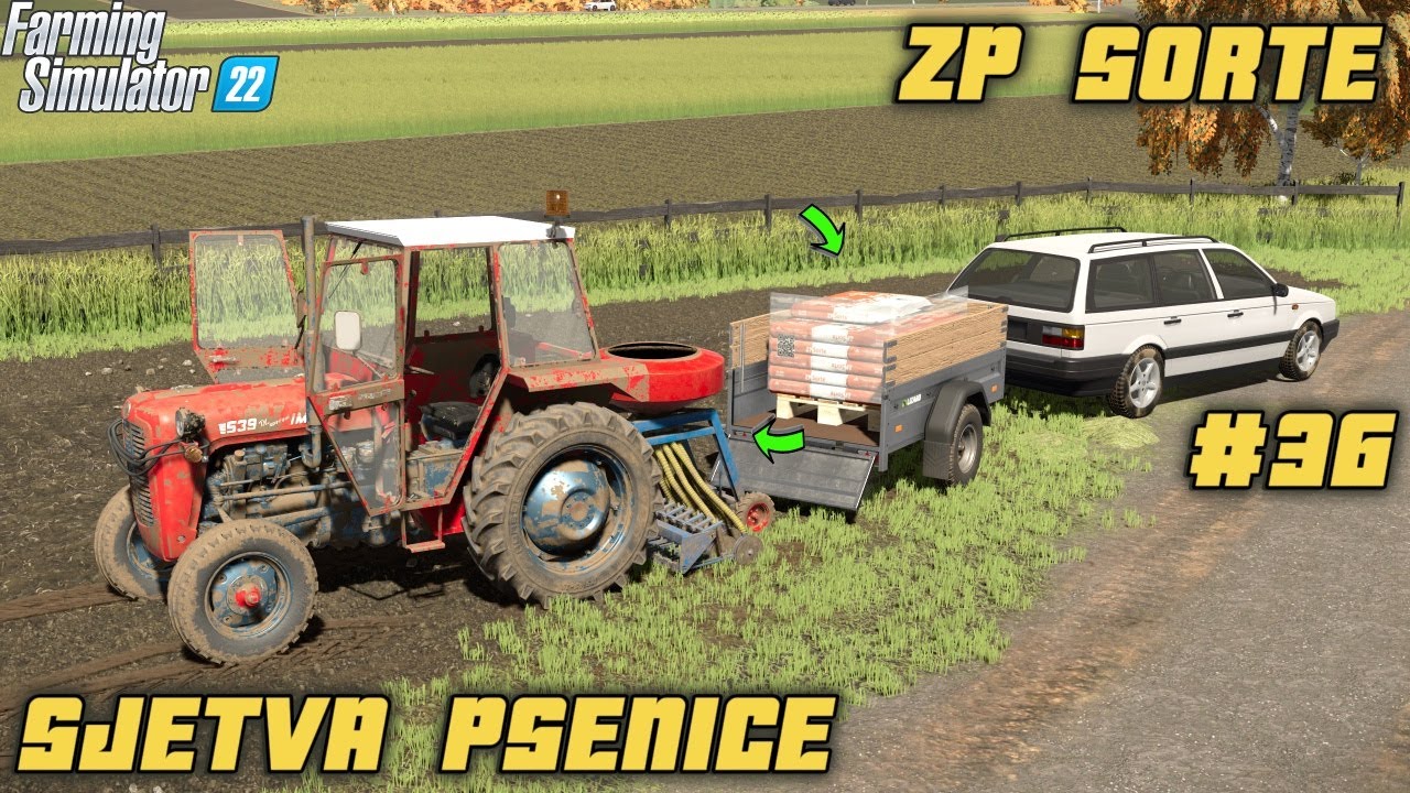 SIJEMO ZP SORTE PSENICE na MALOM GAZDINSTVU / USPJELI SMO OBE NJiVE DA POSIJEMO! #36