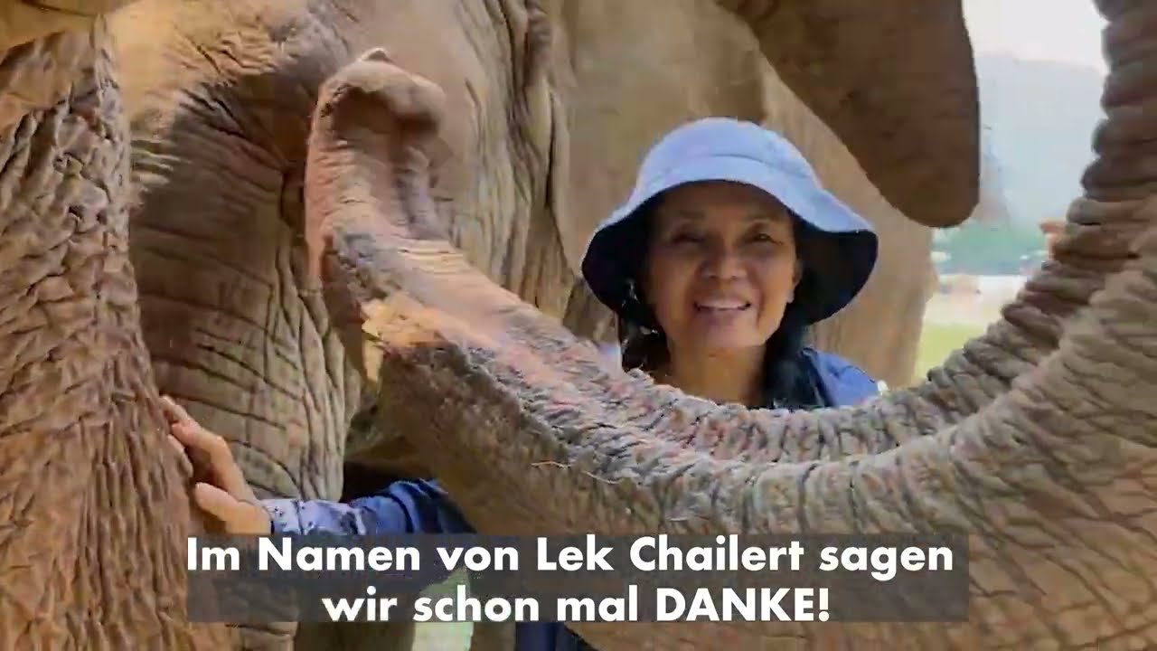 Das Patenprogramm von Future For Elephants e.V. im Elephant Nature Park/Thailand