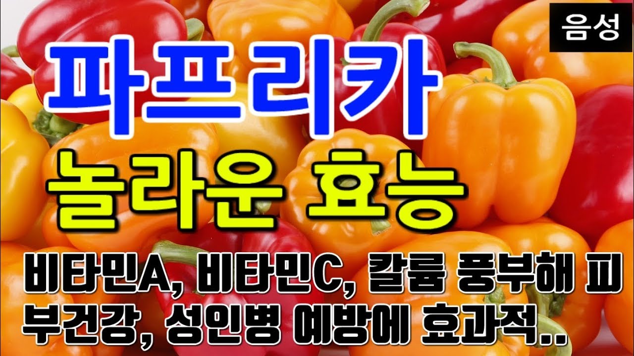 [파프리카 효능] 이런 효능이? 파프리카를 매일 먹어야 하는 이유! 💚