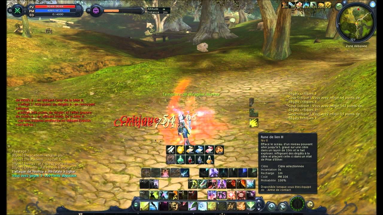 Aion Assassin 55 PVP 2.5
