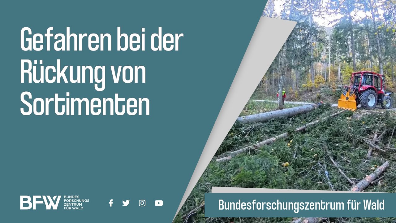 Gefahren bei der Rückung von Sortimenten