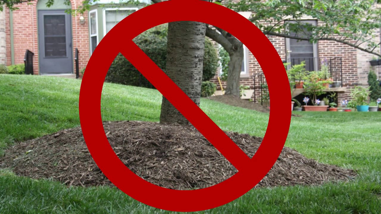 Mulch Volcanoes: Too Much Of A Good Thing