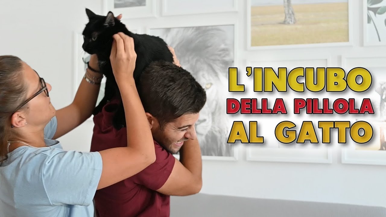 💊Come dare una pillola al Gatto🐱(VIDEO + BACKSTAGE)