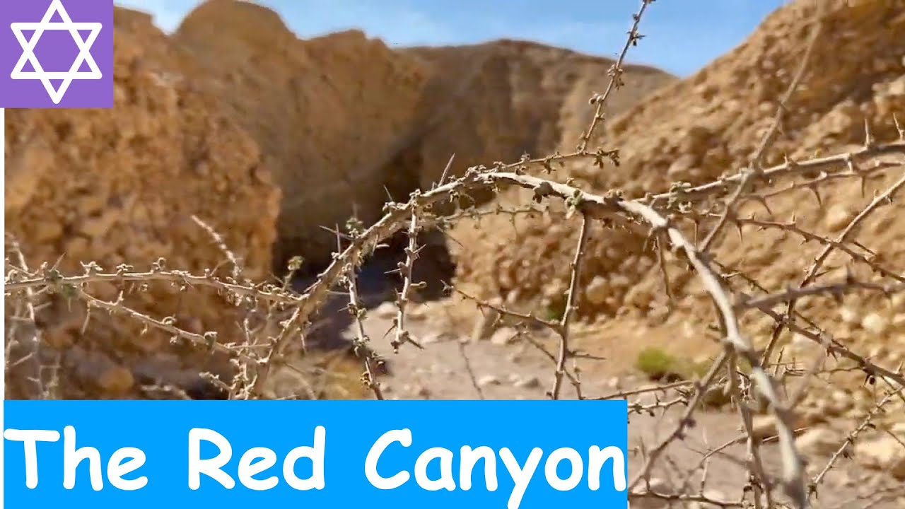 Negev desert, Israel