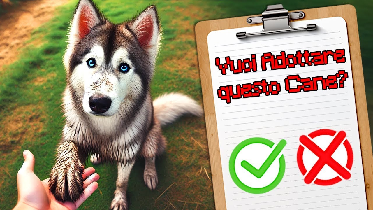 VUOI ADOTTARE IL MIO CANE? Simulatore di Rifugio per Cani