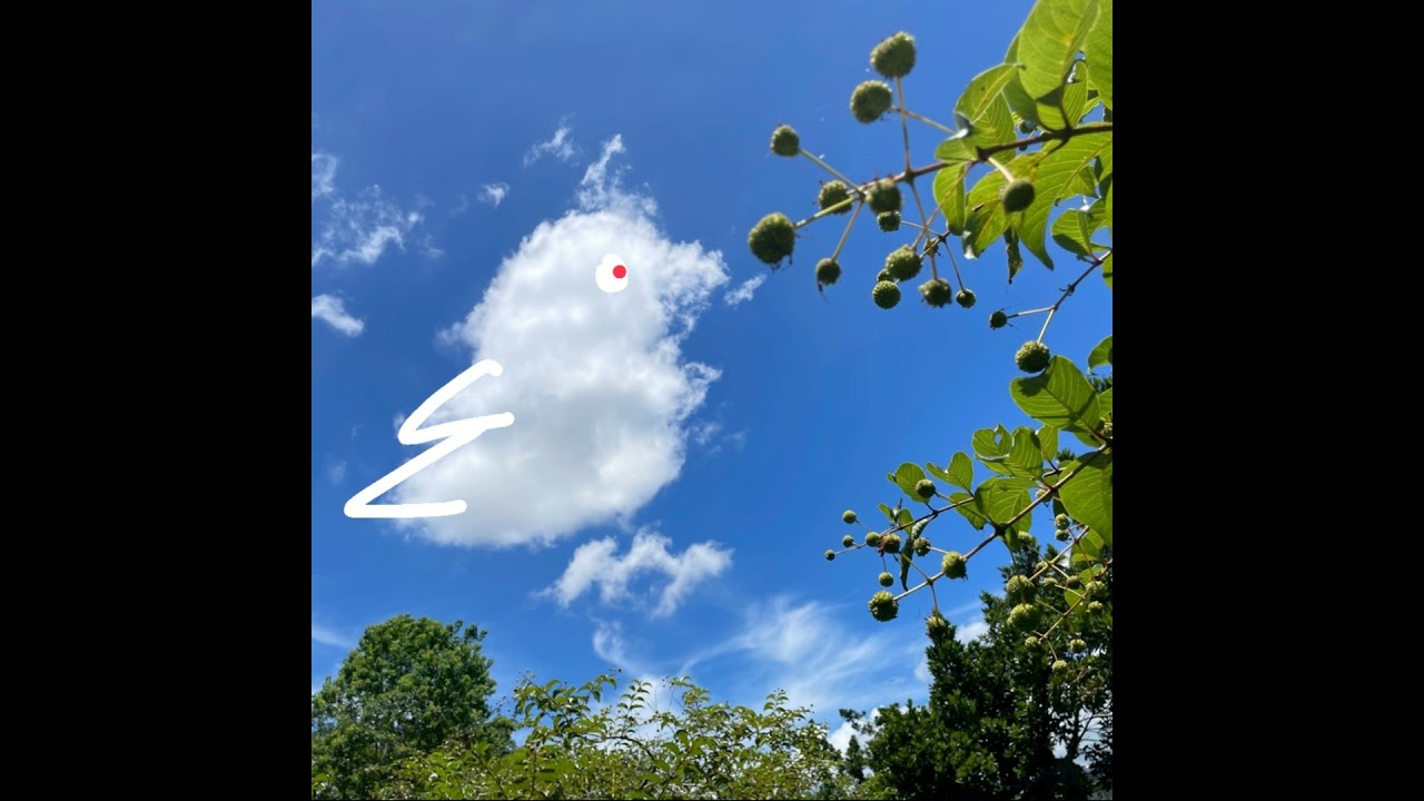 2026環島第1集 出發首站竟然是法院 / 環島非帶不可的是什麼? _《米家故事車環島》系列