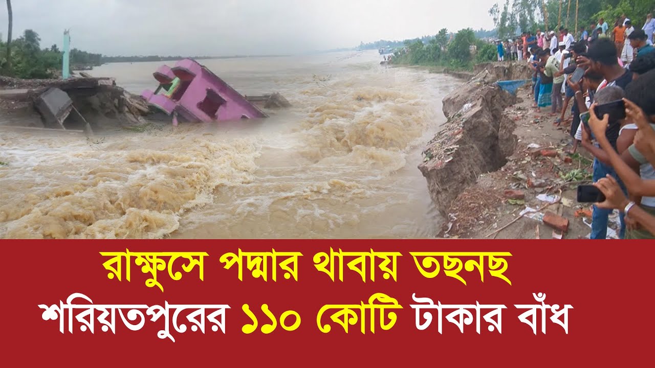 রাক্ষুসে পদ্মার থাবায় তছনছ শরিয়তপুর !! ভেঙ্গে গেছে ১১০ কোটি টাকার বাঁধ ! River erosion in Bangladesh