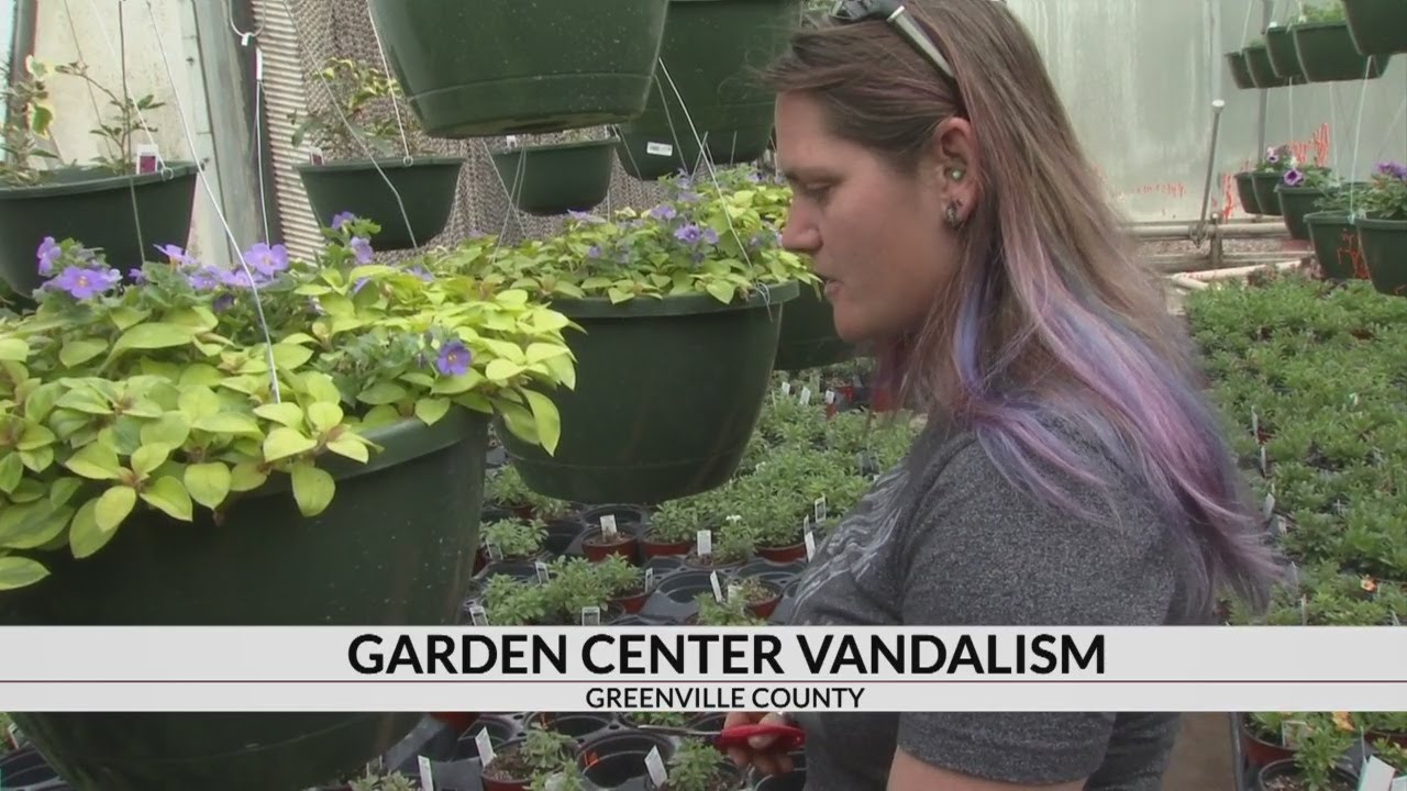 Vandals hit nursery causing estimated $150K damage