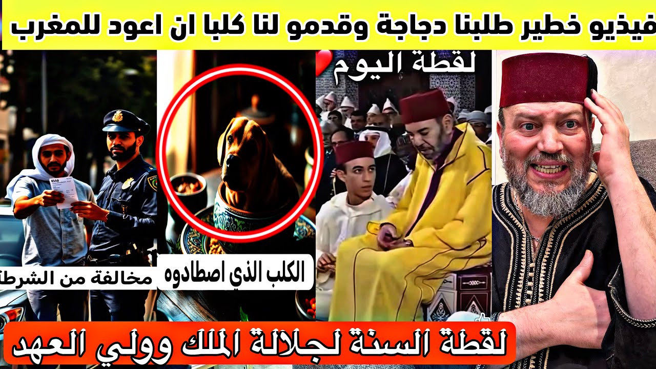 لن اعود للمغرب طلبنا دحاجة وقدمو لنا كلببا خطيرا جدا وفيذيو تراند الليلة لجلالة الملك مع ولي العهد 