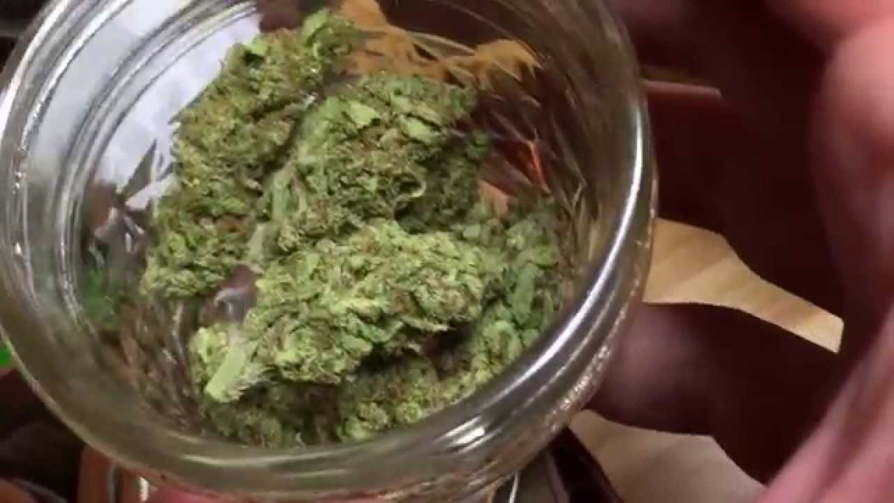 Pink Lemonade Strain Review