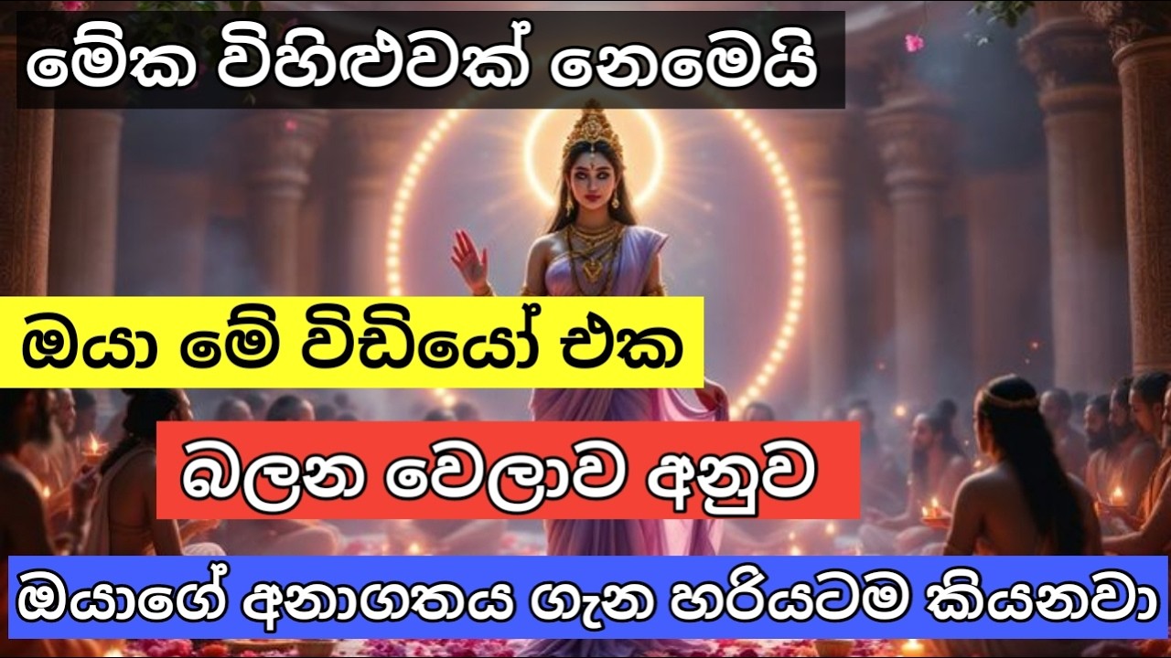 ඔයා මේ වීඩියෝ එක බලන වෙලාව අනුව විශ්වයෙන් ඔයාට ලැබෙන විශේෂ පණිවිඩය🙏