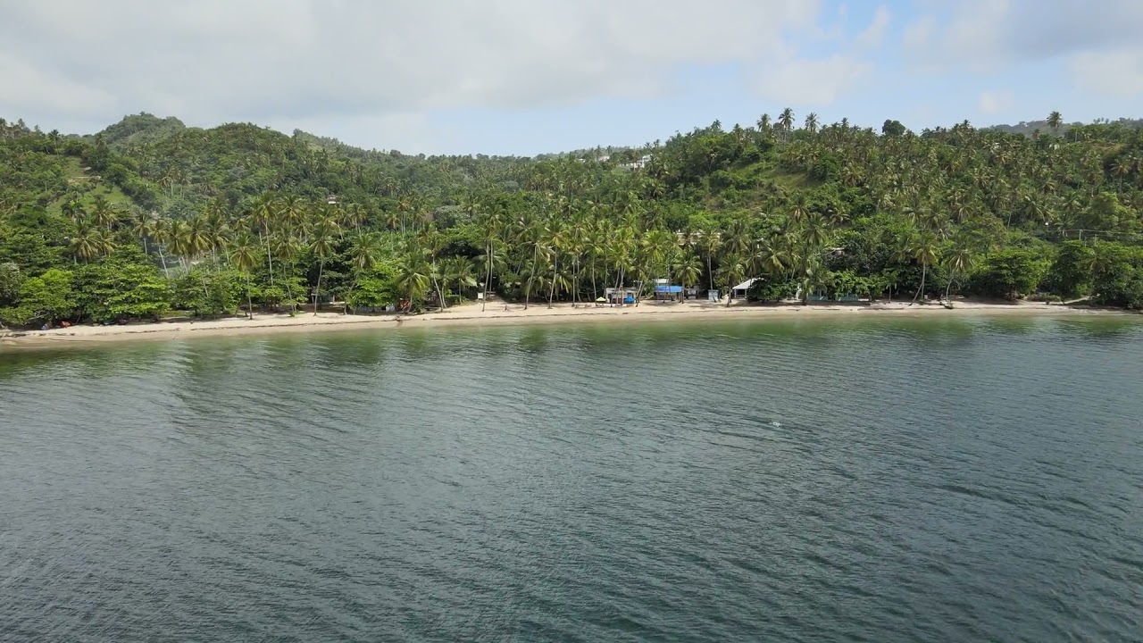Aerial view footage of beach with palm trees - Copyright free video