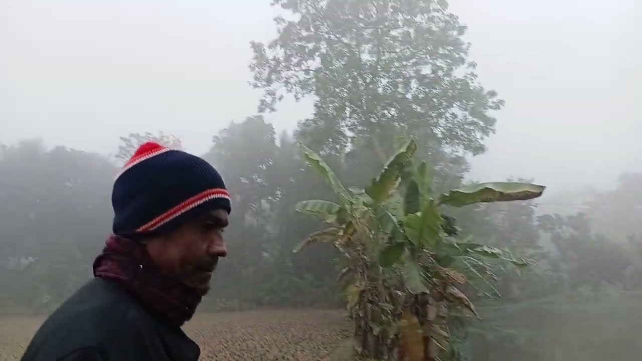 আমাদের মাছের খামার প্রকল্প (পর্ব-২)Our fish farm project (part-2) @balayethvlogs​