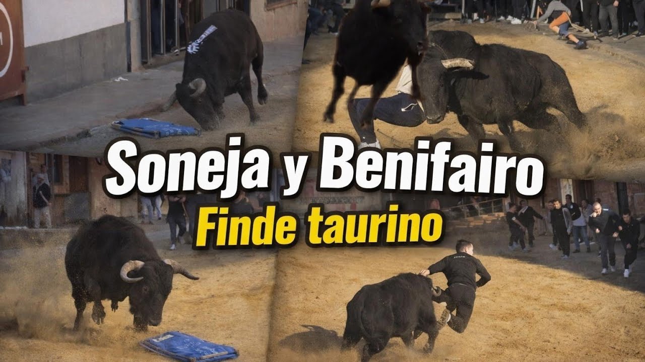 Benifairo de les valls y soneja 21 Febrero 2026 Cerril y vacas de Ivanet