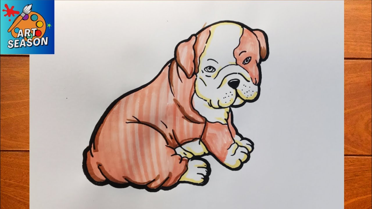 How to Draw a Bulldog step by step | Dog Drawing