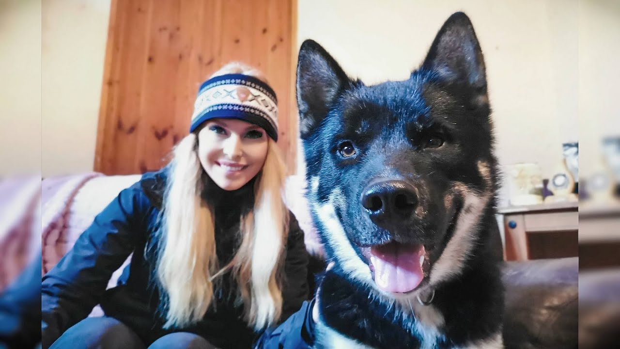 THE GREENLAND DOG - ARCTIC POWER HOUSE