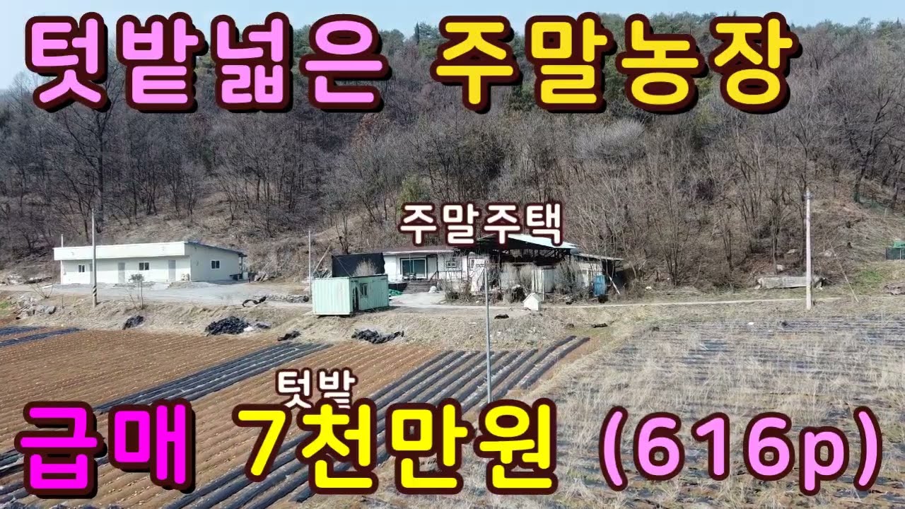 산자락아래 양지바른,텃밭넓은 주말주택농장급매,단양부동산.단양토지,단양땅,단양촌땅,단양급매물,싼땅매매,주말농장급매,시골토지,시골땅,농촌땅매매,상담043-647-0150충북땅달인tv
