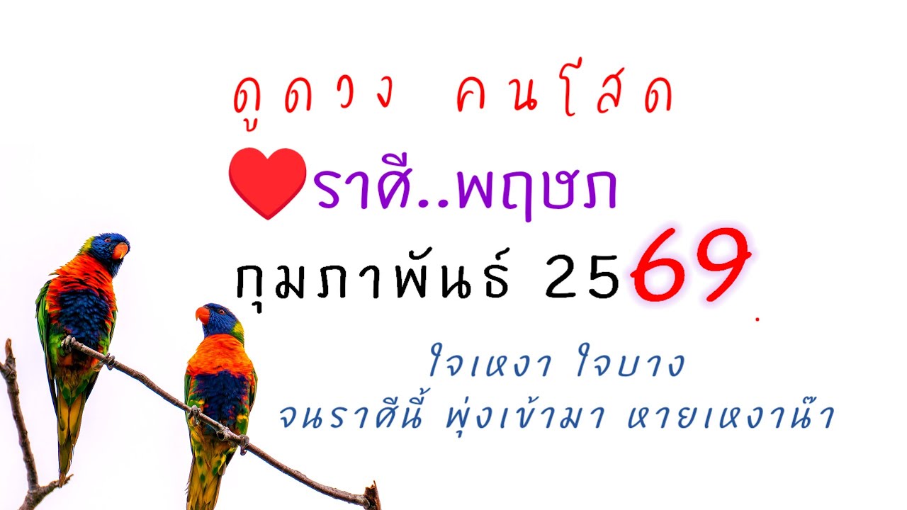 🔔ดวงกุมภาพันธ์ กุมภารัก ☺️ #ดูดวงความรัก #ราศีพฤษภ ♥️ราศีคู่พื้นดวงคนแต่ละวัน⭐เจอเนื้อคู่พาใจวิวาห์✨