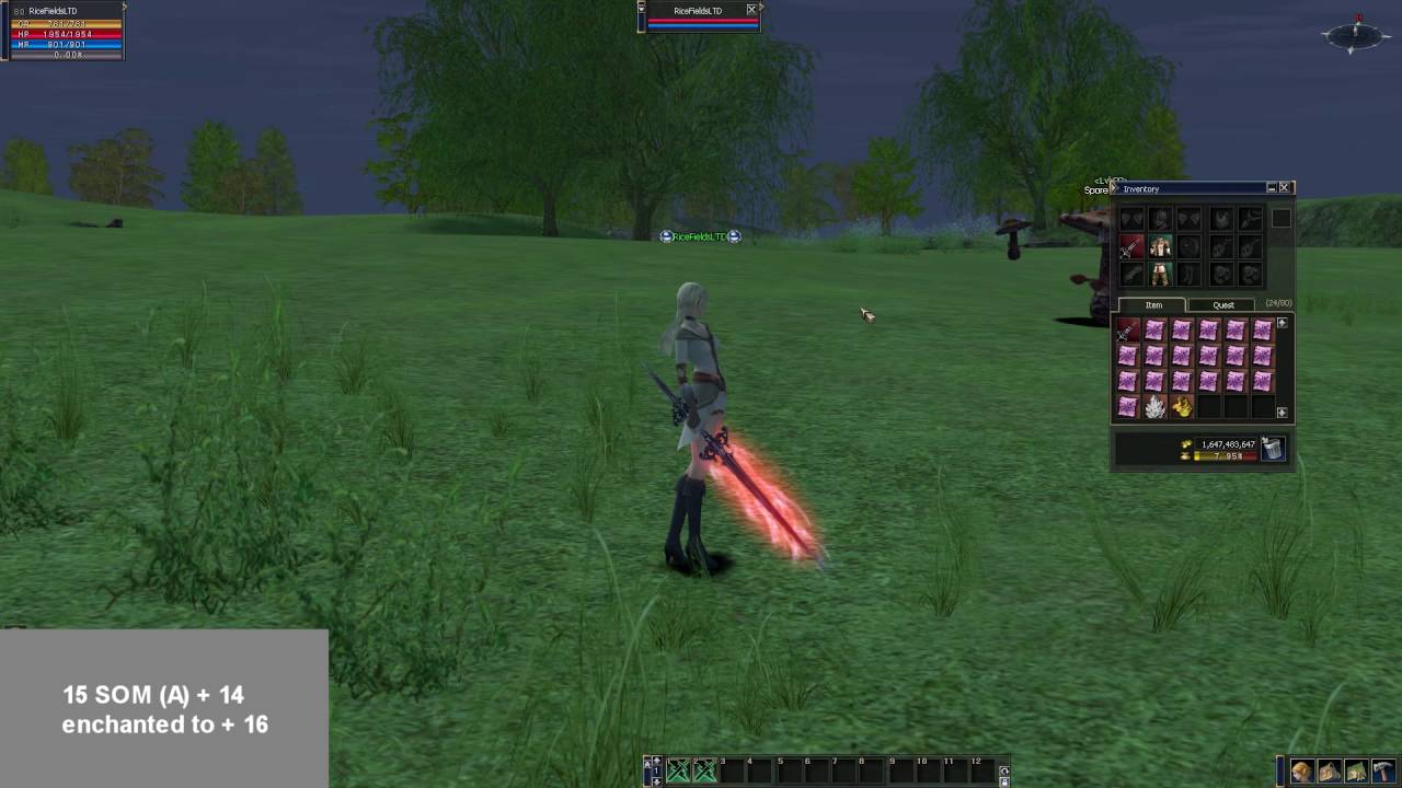 L2 Enchanting Experiment