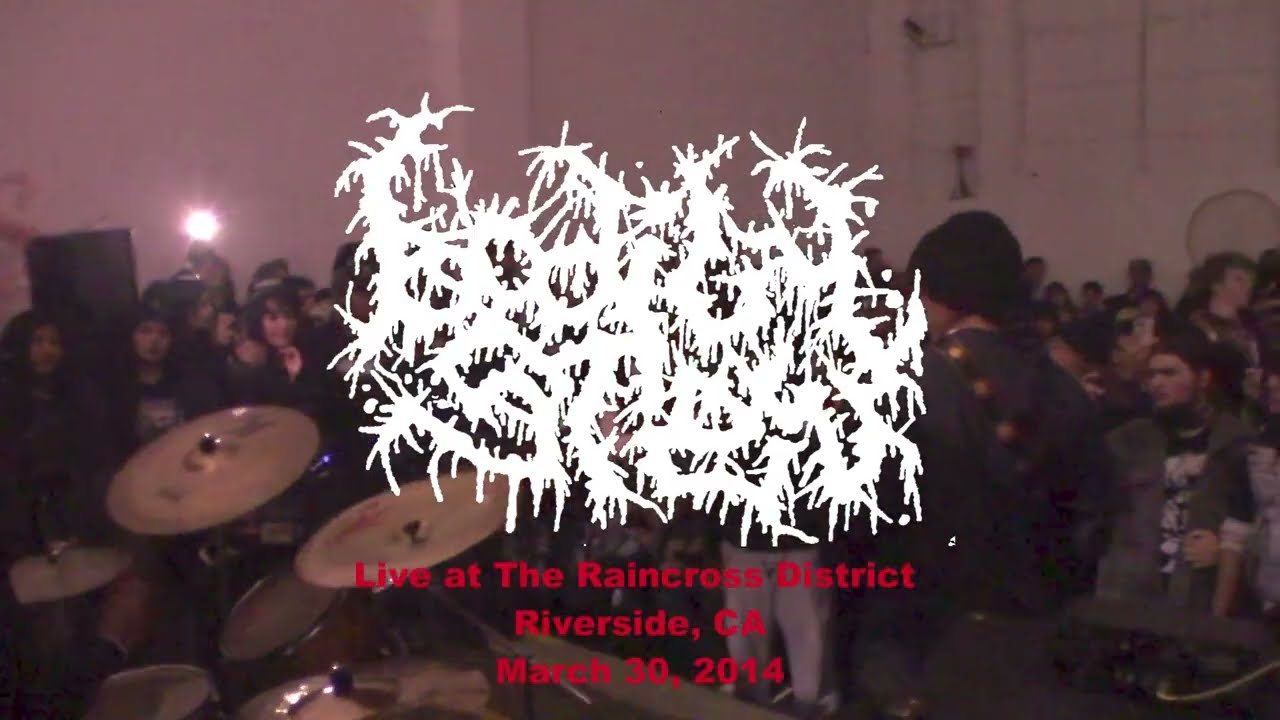Bodily Stew live at The Raincross District 2024