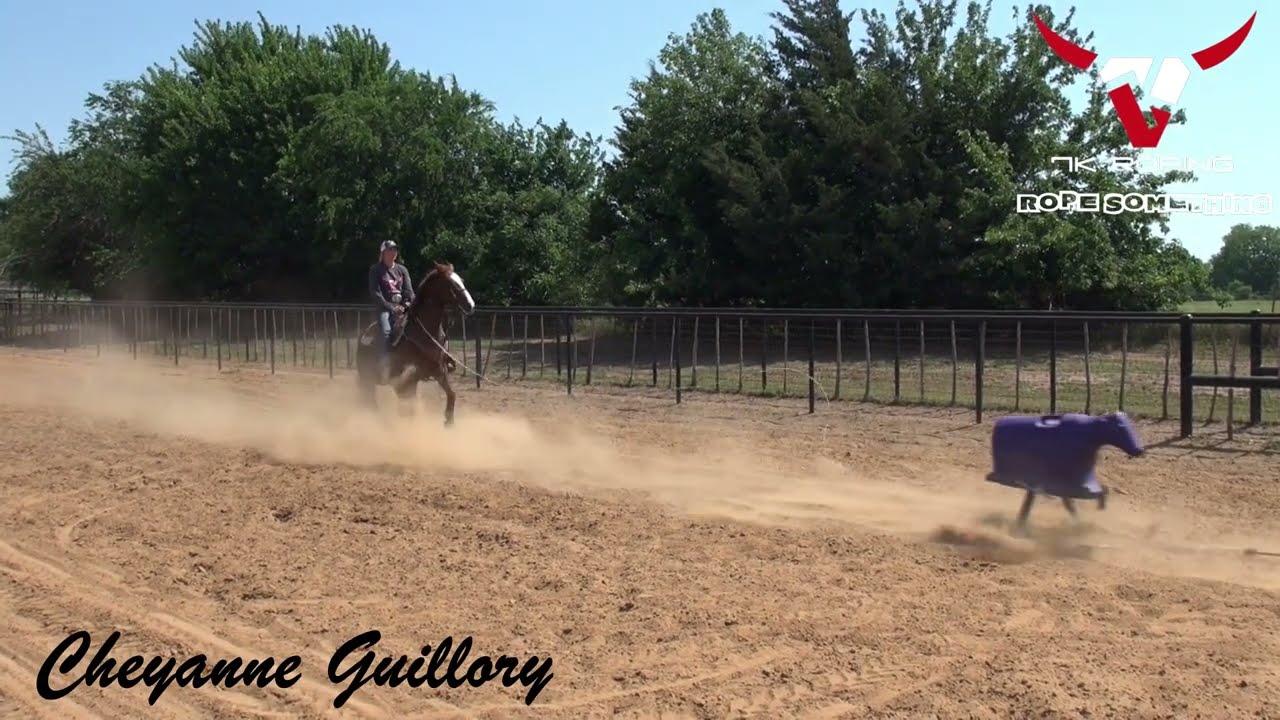 7K Roping - Something Calf Sled - Training with Martha Angelone, Erin Johnson, & Cheyanne Guillory