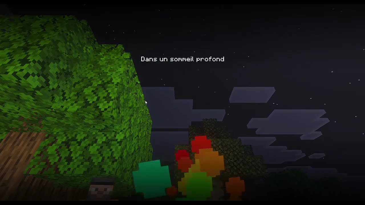 Premier épisode de ma survie mincrafte