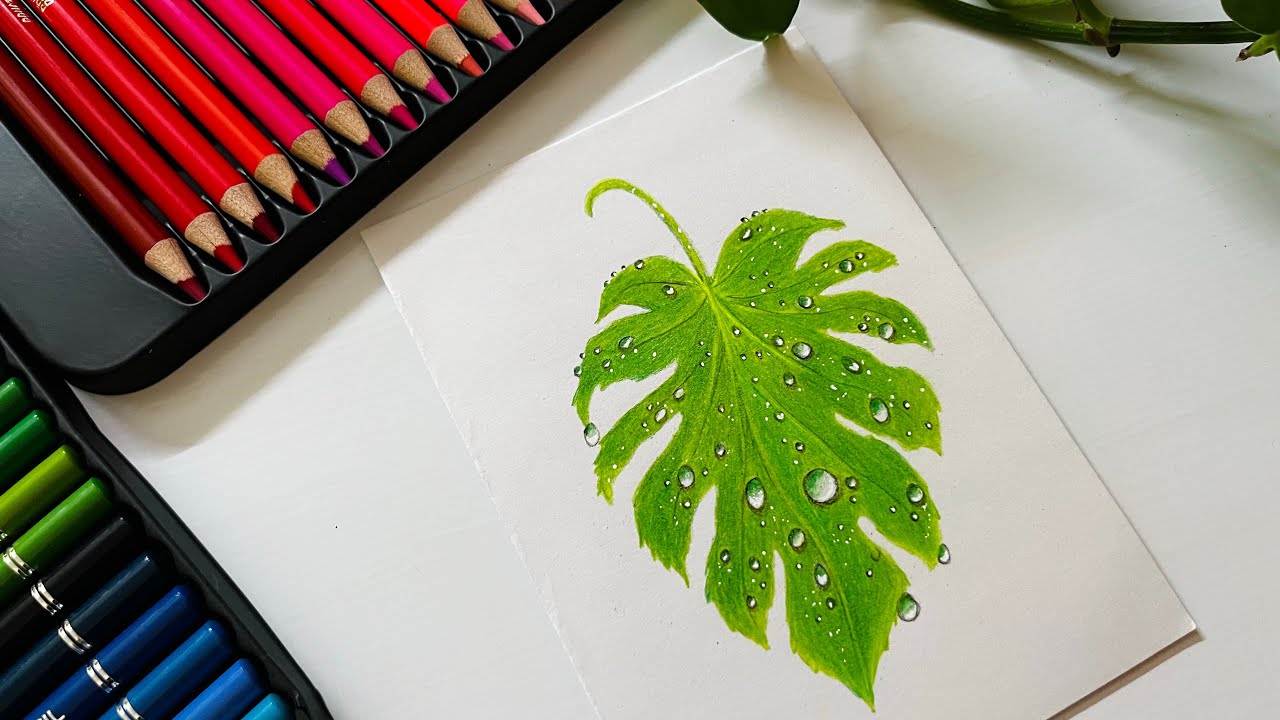 How to Draw a Realistic Leaf with Water Drops | Colour Pencil Tutorial (Step by Step) #drawing 