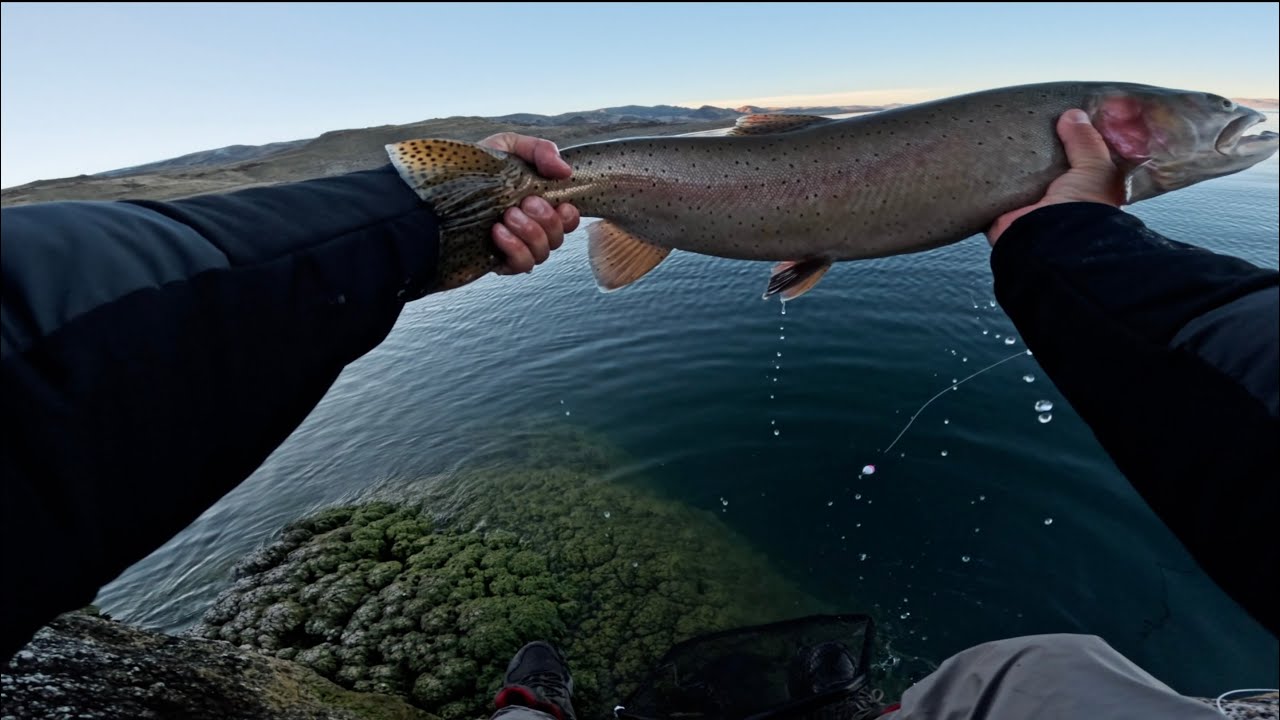 Winter Road Trip Pt 1 | Epic Fly Fishing Adventure Begins