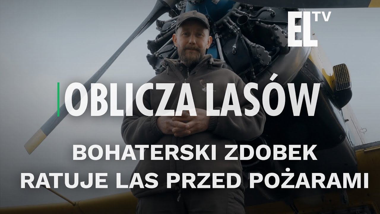 Bohaterski Zdobek ratuje las przed pożarami | Oblicza lasów #79
