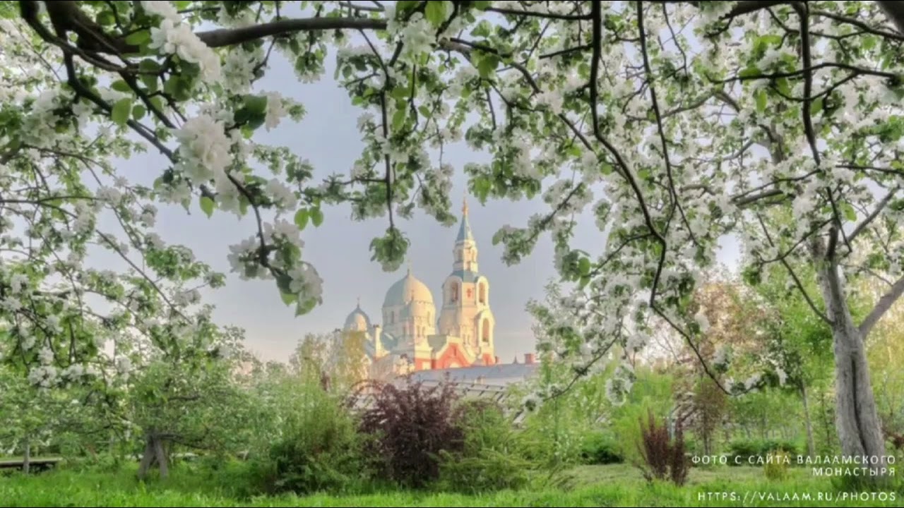 ВСТУПЛЕНИЕ К КНИГЕ 