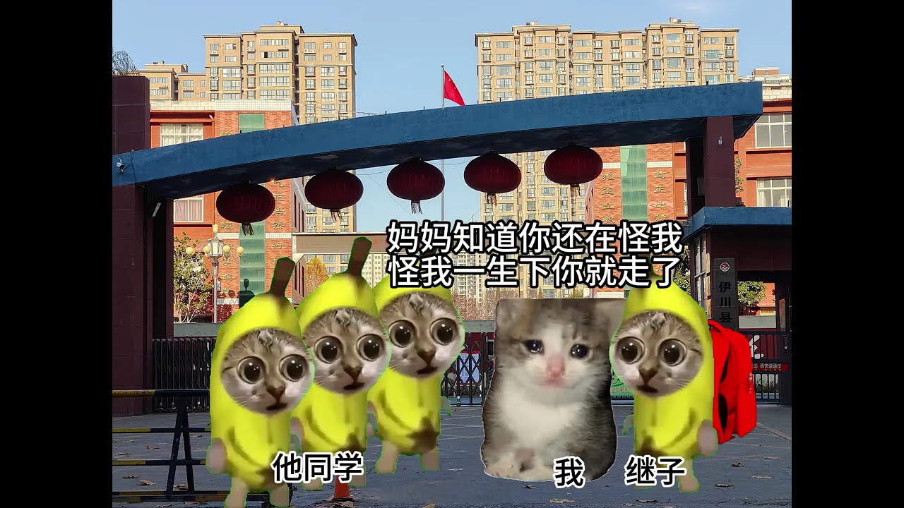 直接丁克被打 那我就偷偷丁克！！大合集 #猫meme  #猫meme小剧场 #猫meme剧场 #搞笑