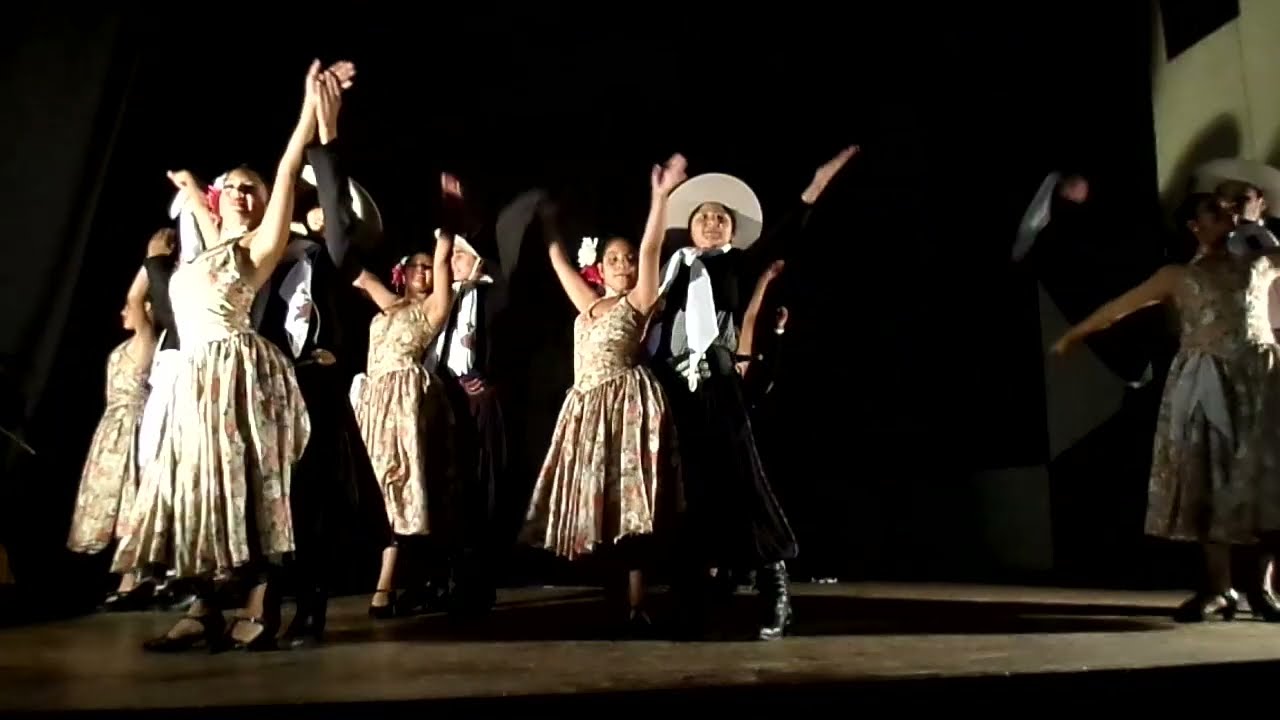 Zamba - Cueca Norteña / Muestra anual (LFD) 2016