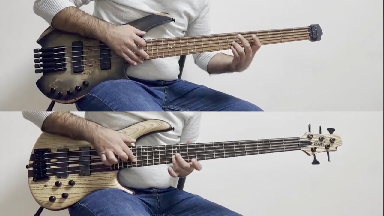 Cort Space 5 vs. Cort A5 Ultra Ash