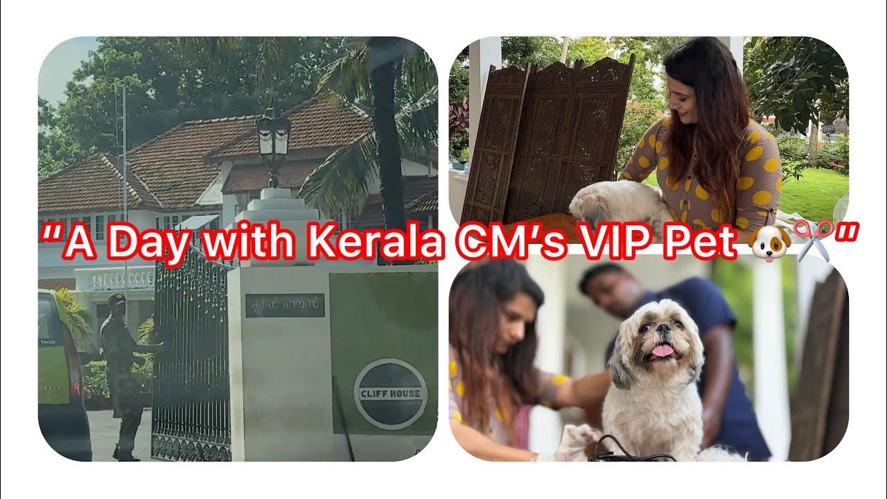Kerala CM’s Pet Gets a Makeover! 💇‍♂️🐾