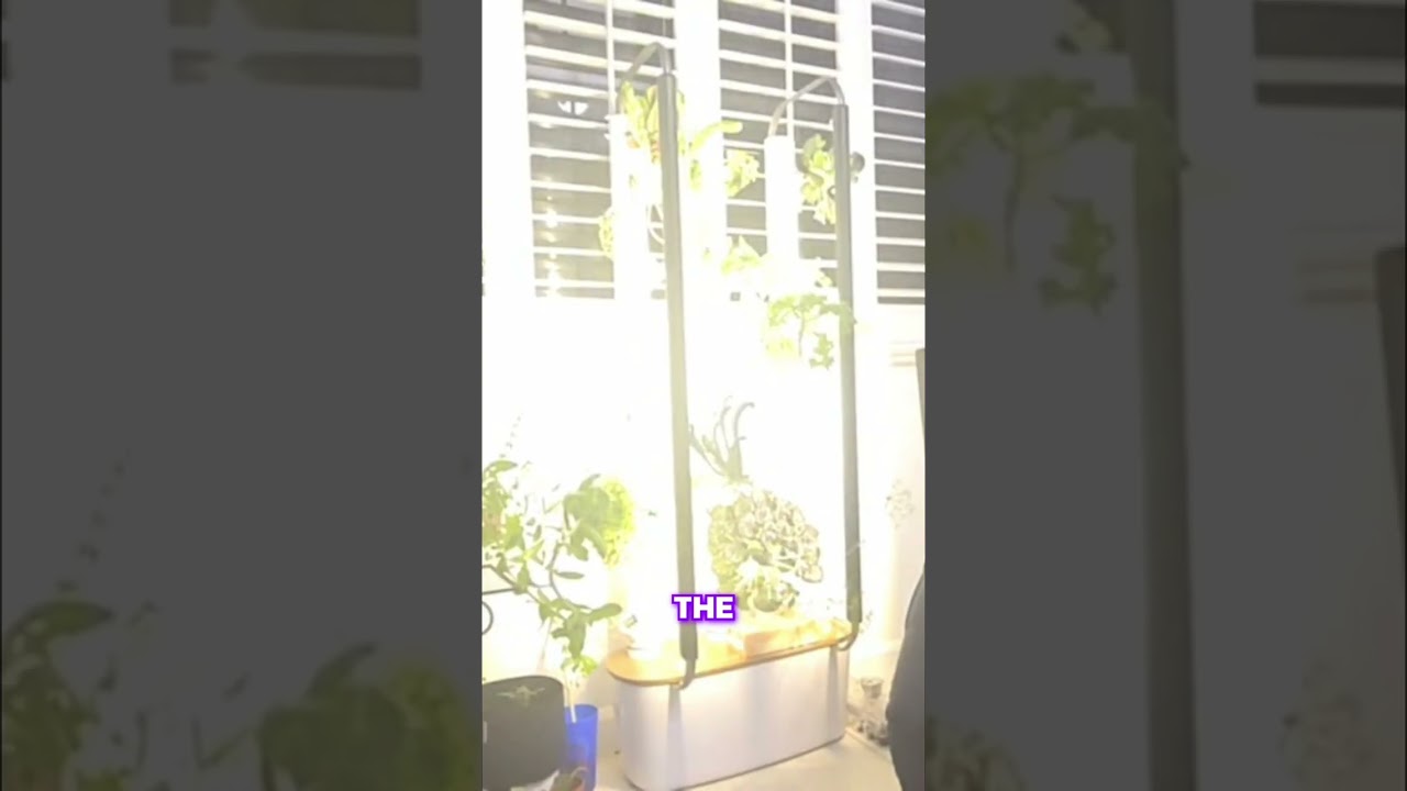 Gardyn Review: AI Vertical Garden Growth: Gardyn Review 