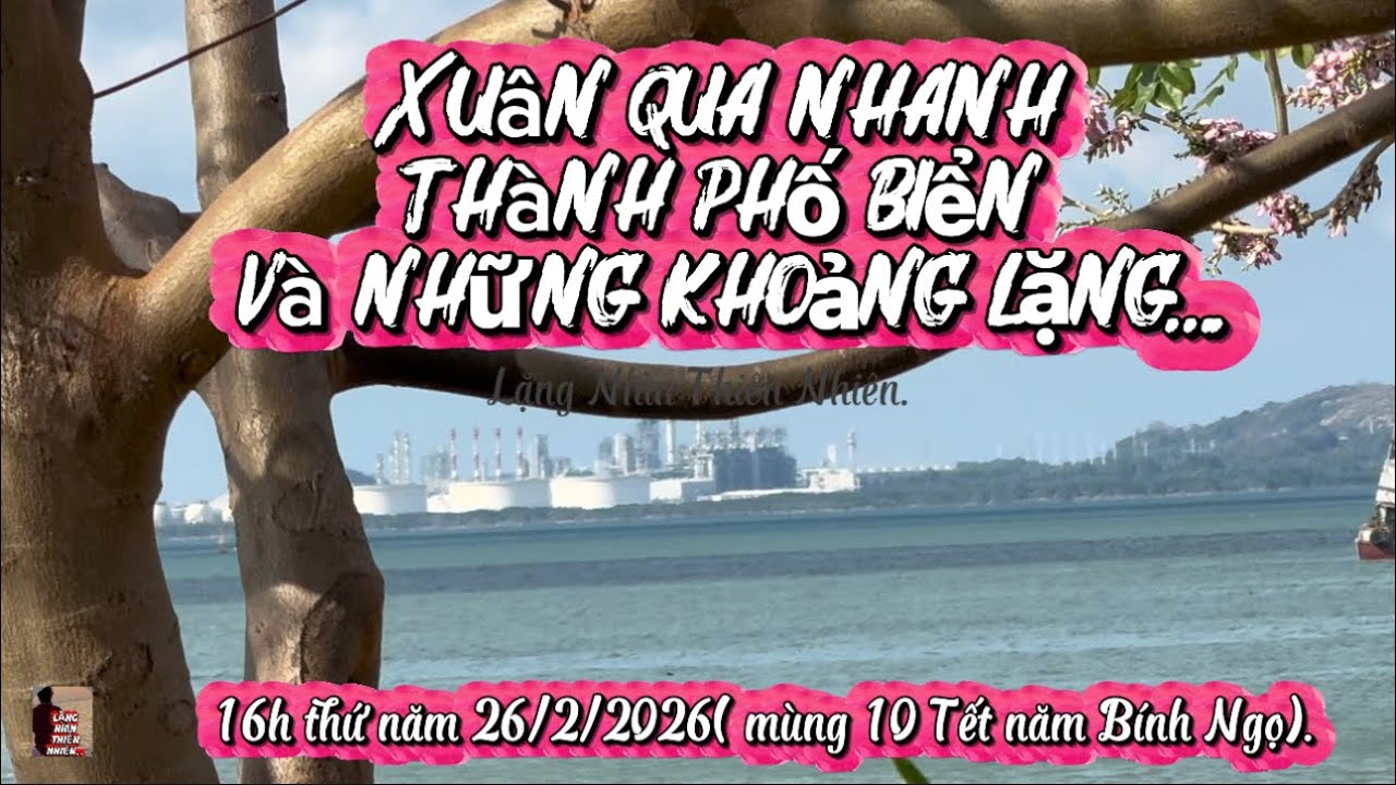 Thành phố biển trở lại với nhịp sống thường ngày.. 16h tại bãi biển trước nhà thờ Sao Mai Vũng Tàu.