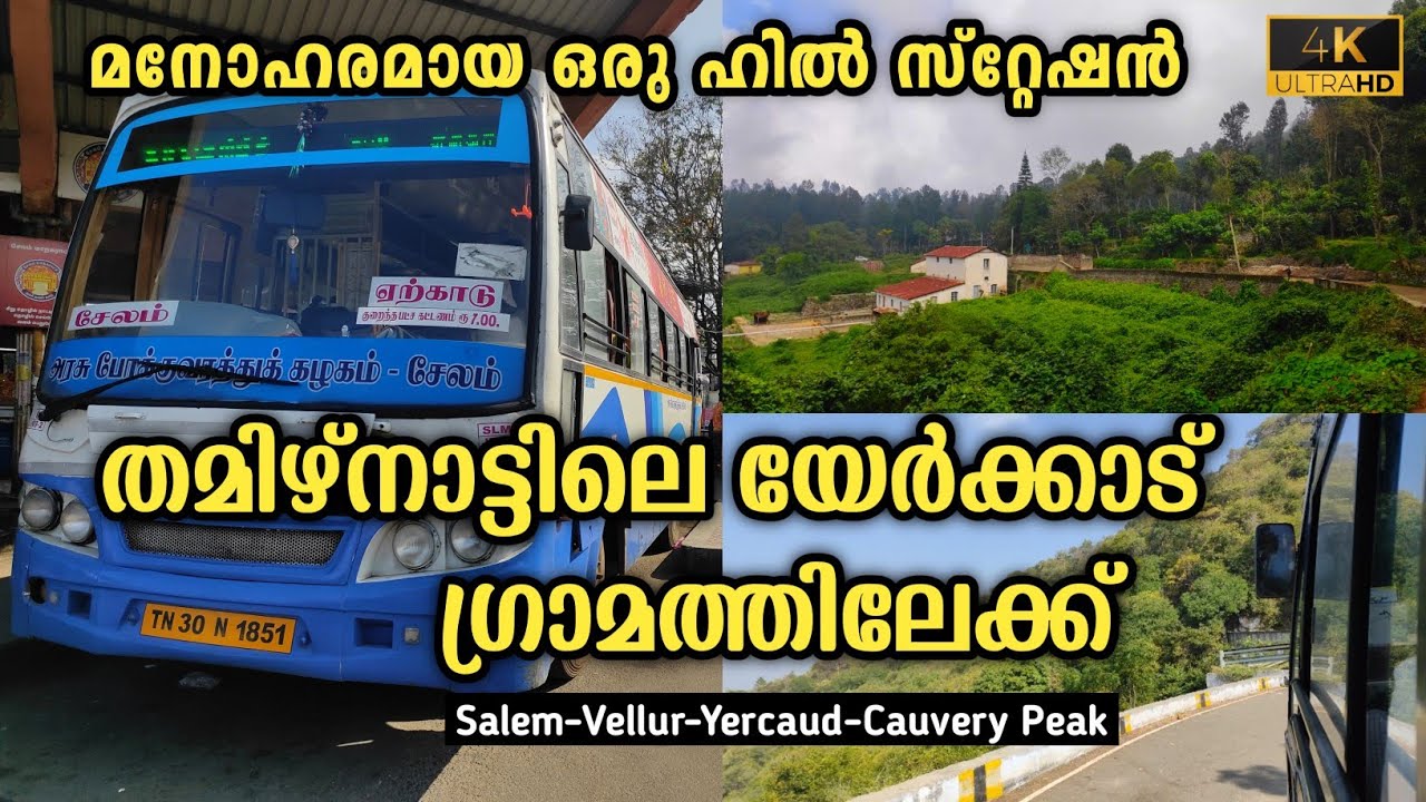 Tnstc Yercaud Hills Trip | Salem To Yercaud | Most Beautiful Hill Station | #salem #yercaud #tnstc