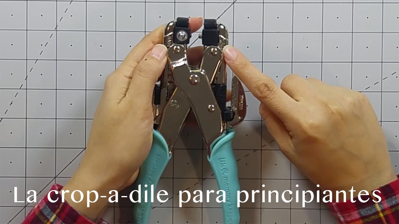 TUTORIAL // Que es y como usar la crop a dile
