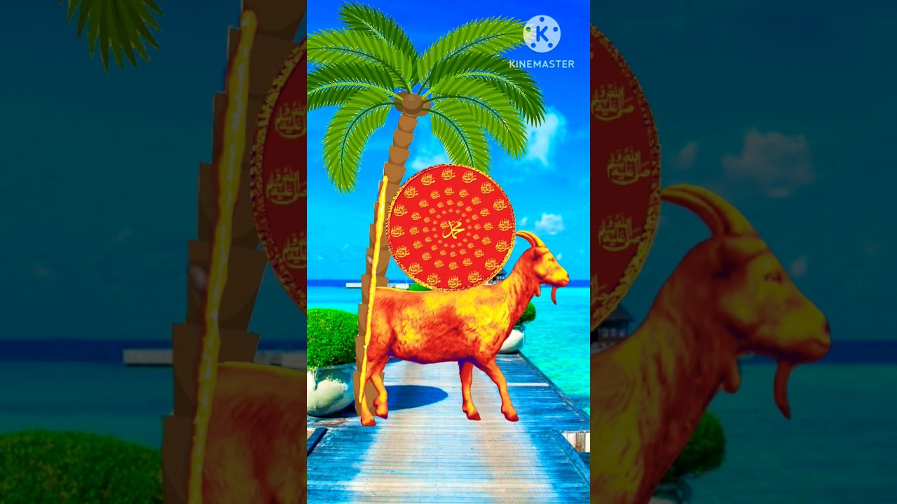 Ya rab ul ala meen #vfxmahjabeen #trending #shortsfeed #viral #islamic #shorts