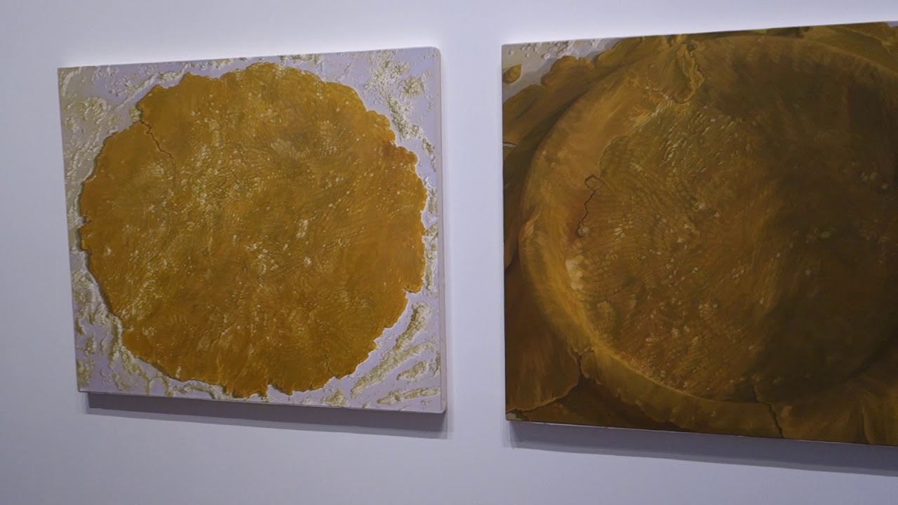 Catherine Murphy “Recent Work” at PETER FREEMAN INC