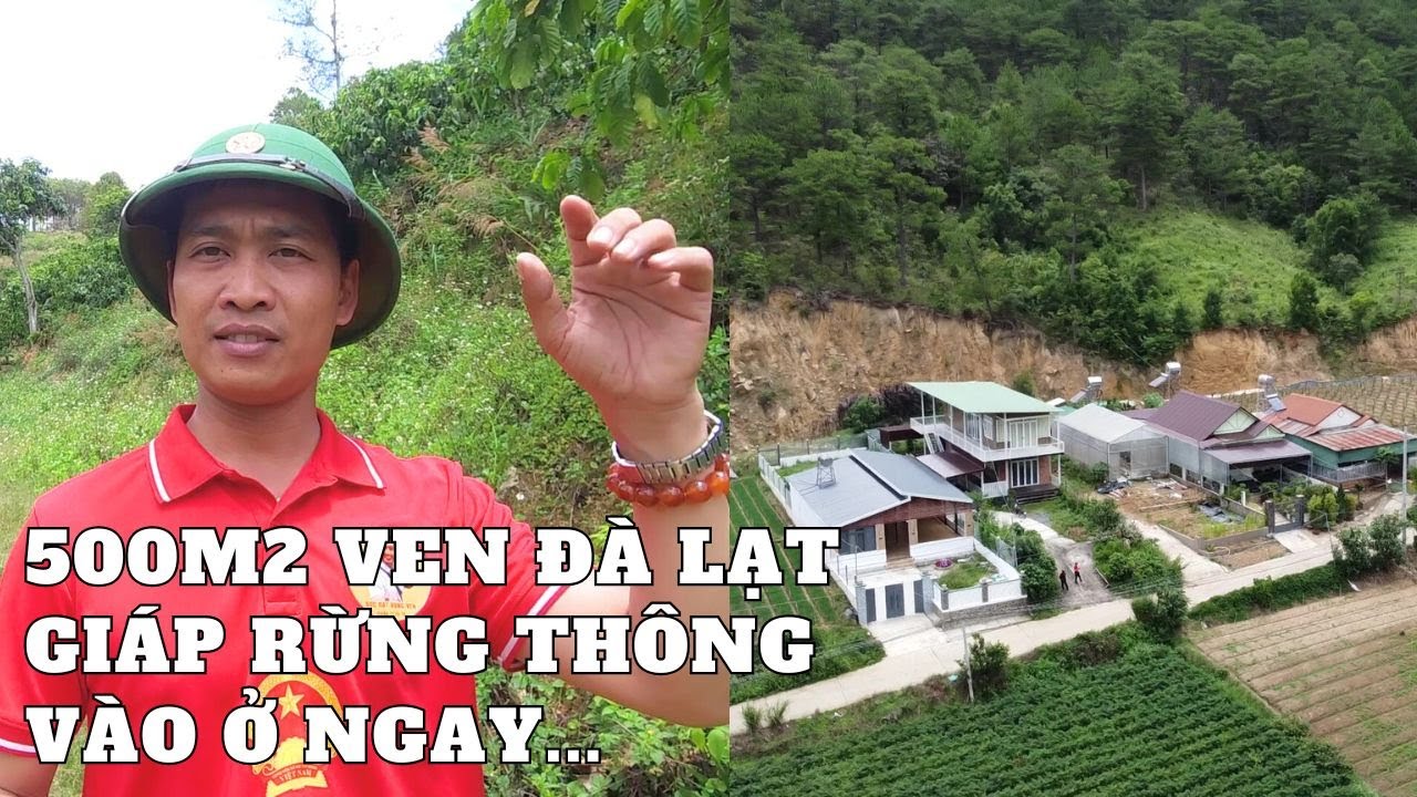 #DVD345 | Nhà Ven Đà Lạt | Khuôn viên nhà vườn giáp rừng thông thơ mộng vào ở ngay