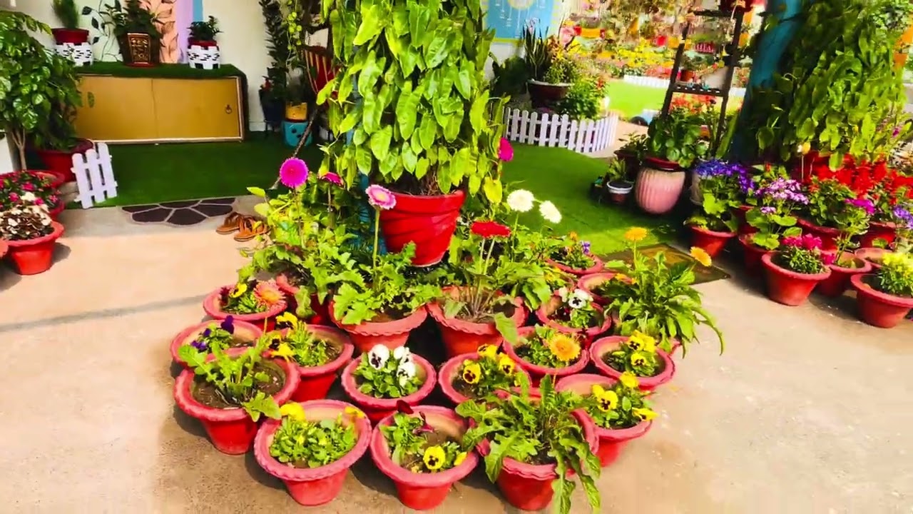 Our happy place : Garden 2026